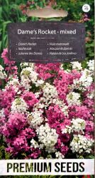 Dames Violet Mix Seeds